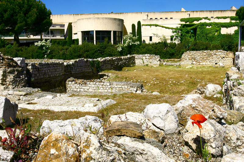 Vue du site archéologique