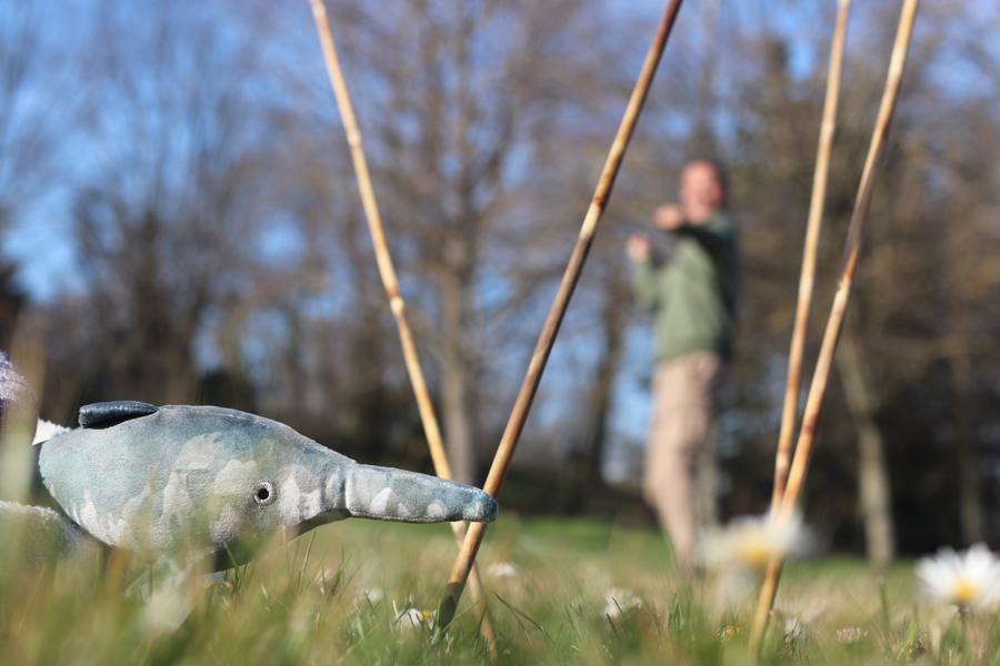 Fossilea_Atelier chasse