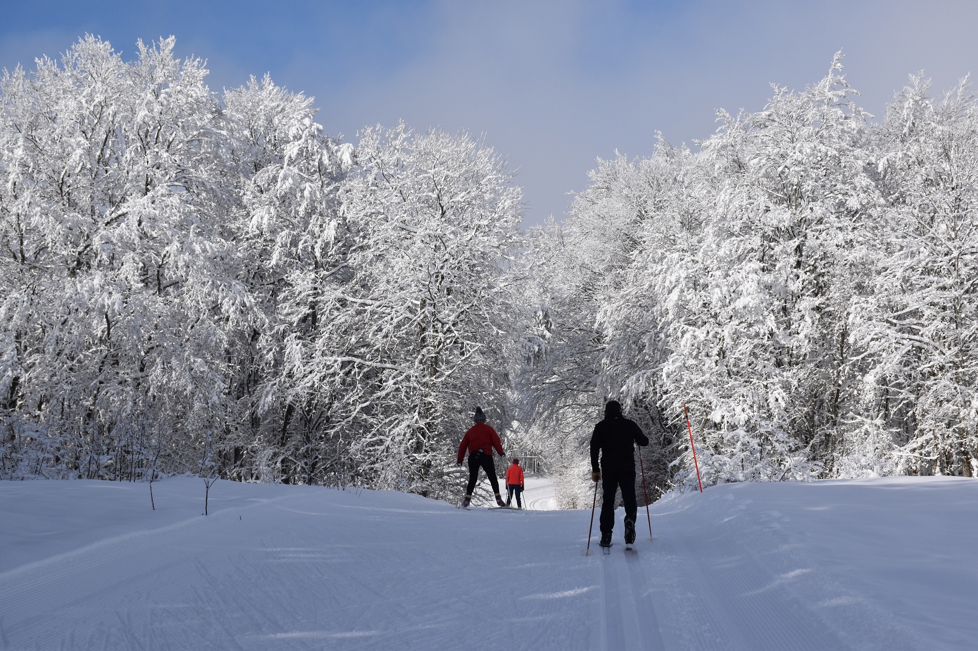 Piste verte de ski de fond du Plateau de Retord : La Vezeronce