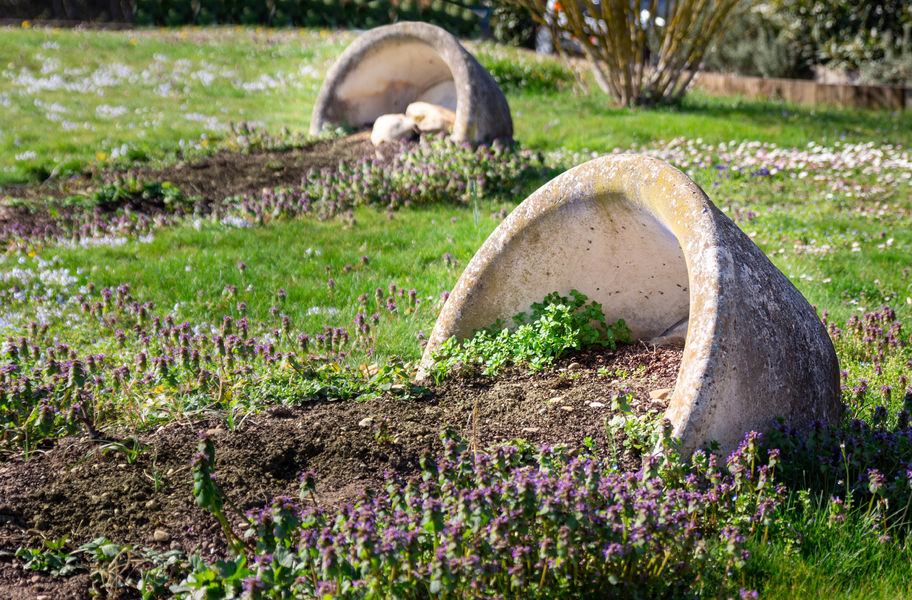 Fleurs village Blyes