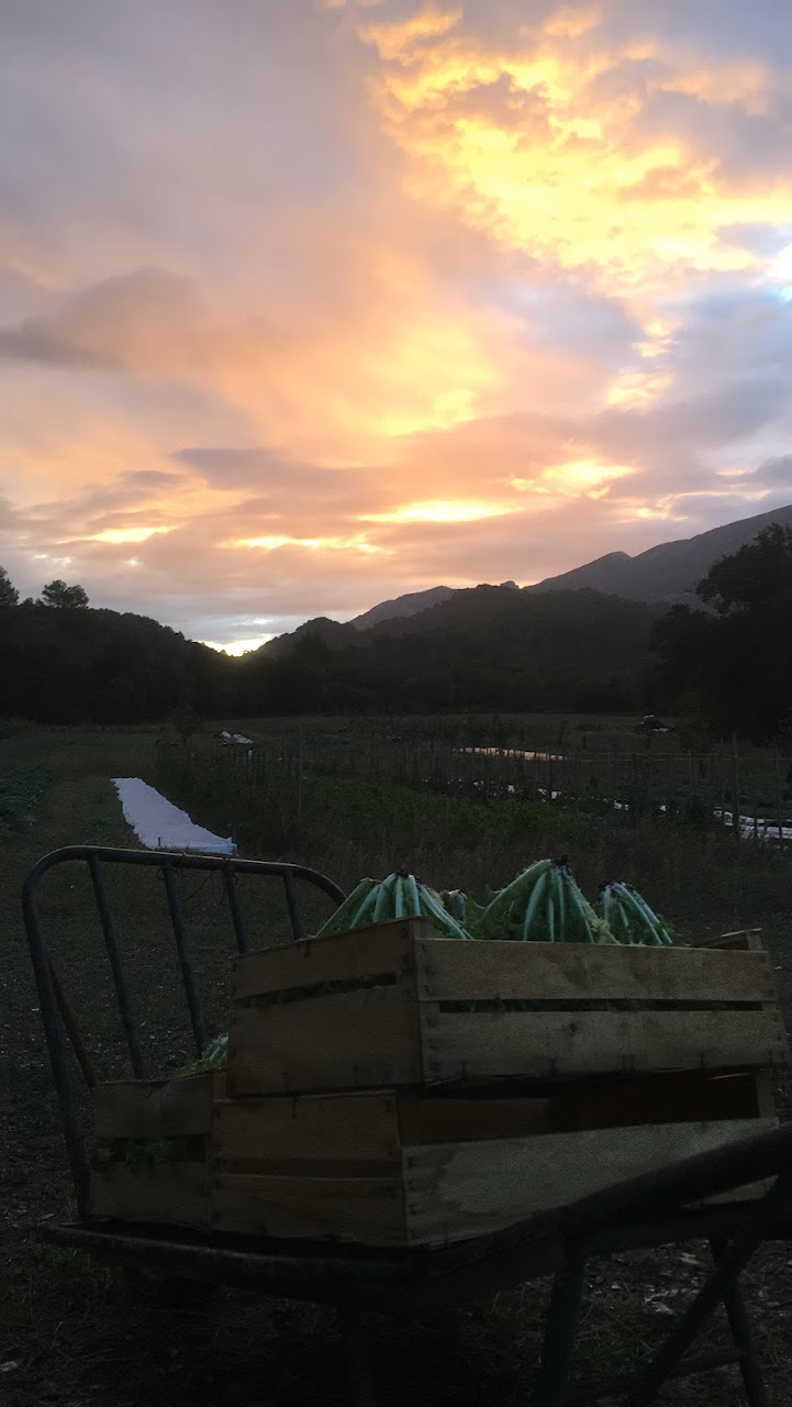 Le maraicher de Bimont - photo 2