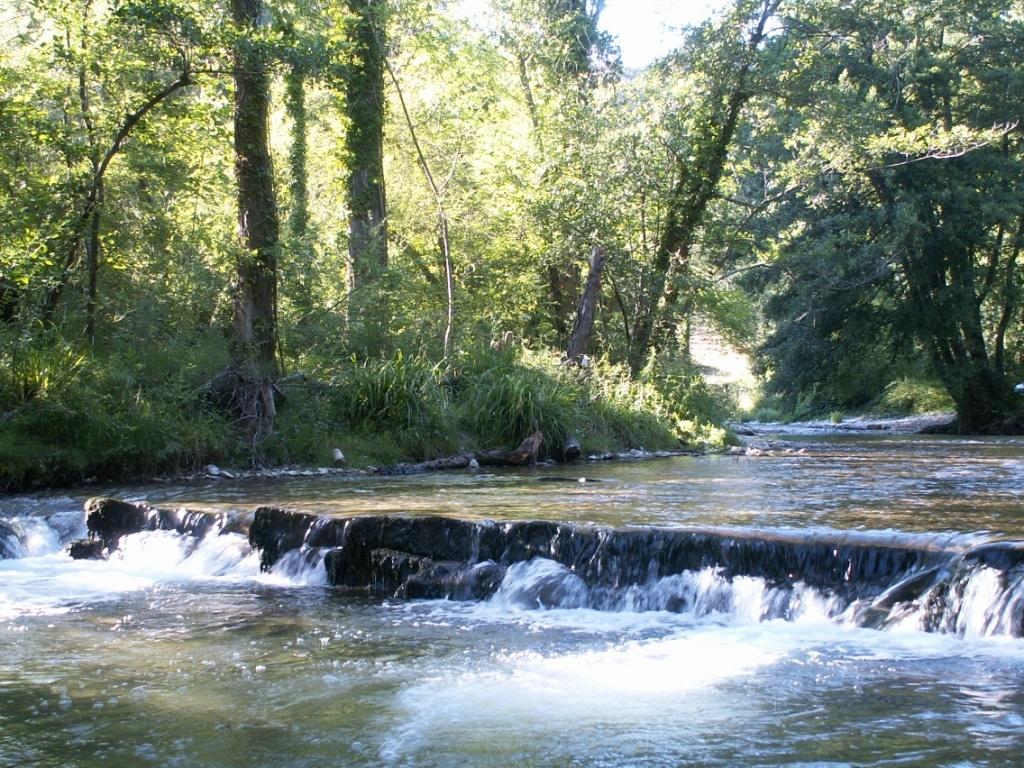 La rivière