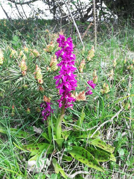 Boucle Puits des Rioux