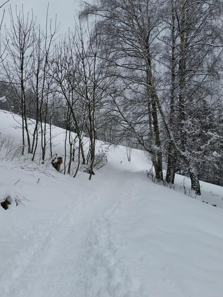 Itinéraire de raquette 