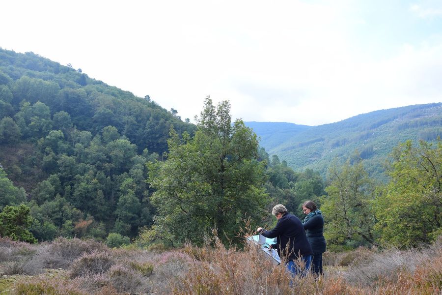 Sentier des Labans