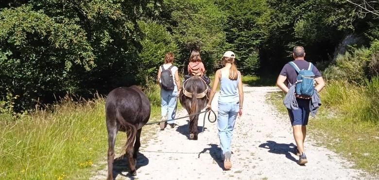Randonnée accompagnée avec les ânes - 2 Jours