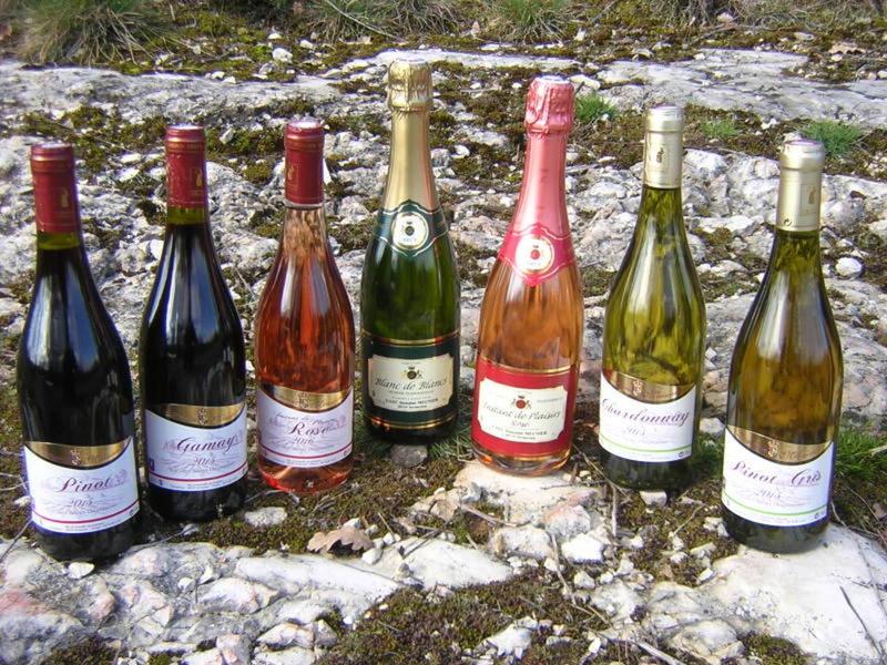 Domaine Meunier - Viticulteur à moins d'une heure de Lyon à Sermérieu - Balcons du Dauphiné