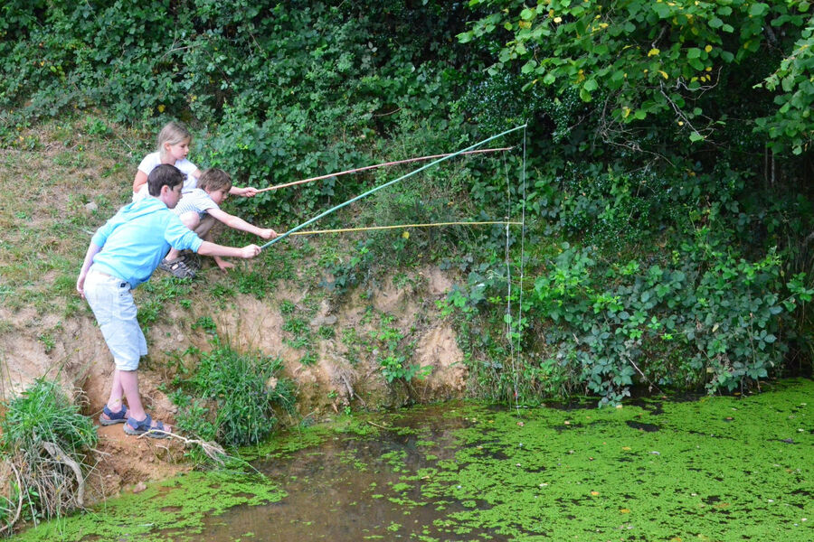 pêche a la grenouille pas de panique elles mordent un chiffon