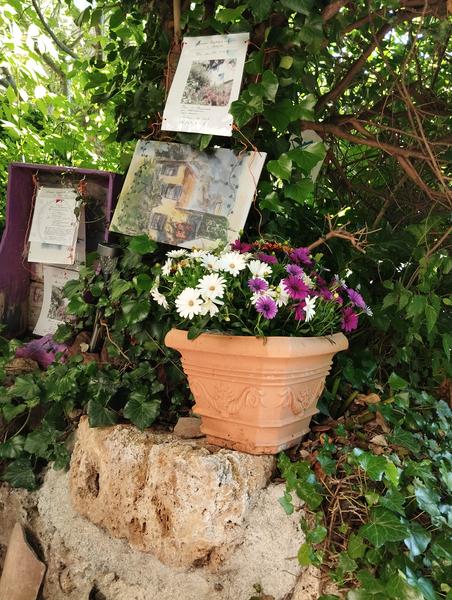 Chez Lucie Maison Troglodyte - Cotignac