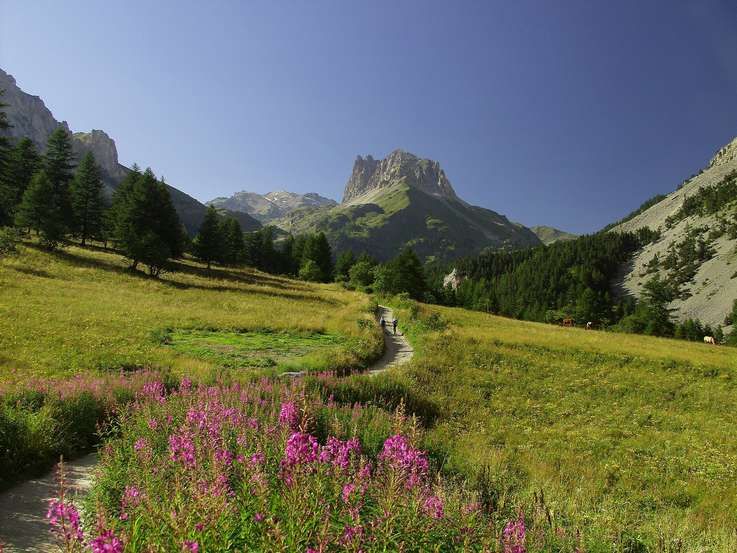 Le Mont Thabor - 3.178 m - Maurienne (73)