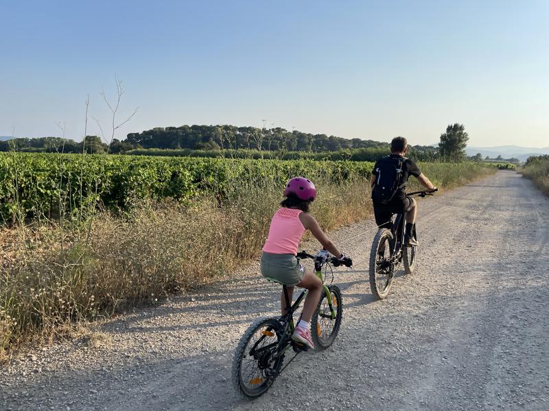 Balade à VTT électrique