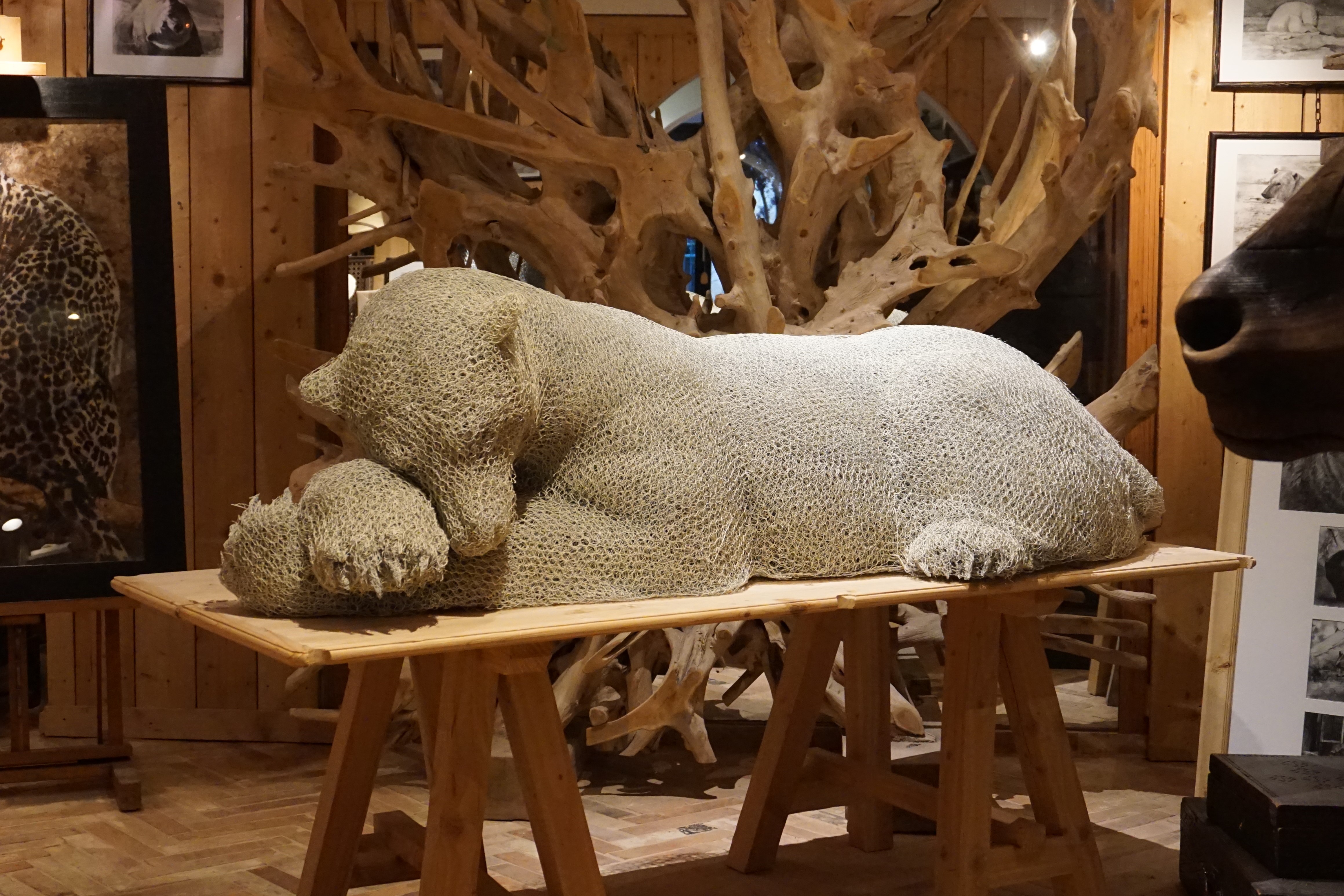 Galerie Wildlife-Art — photo 2