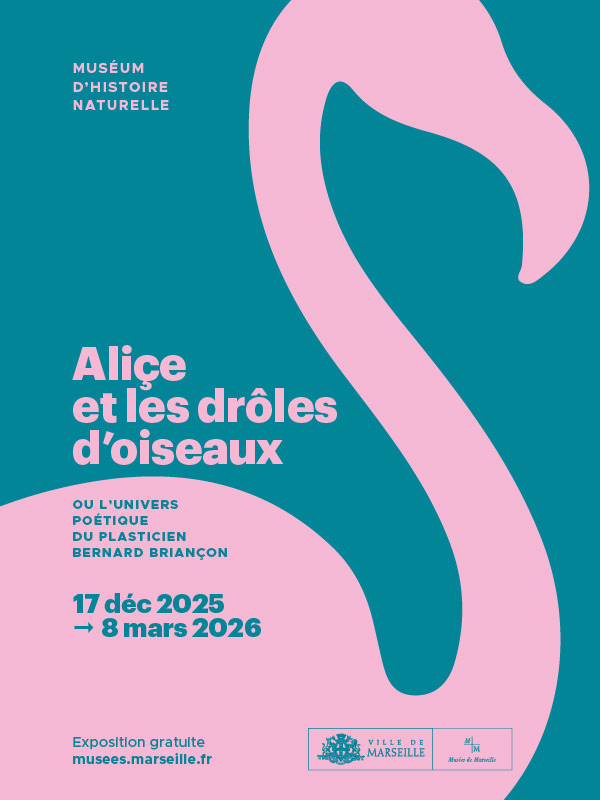 Aliçe et les drôles d'oiseaux, Marseille 4e Arrondissement - photo 2