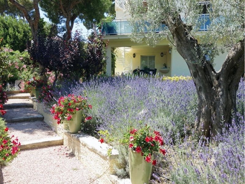 Floriane, Cassis - photo 3