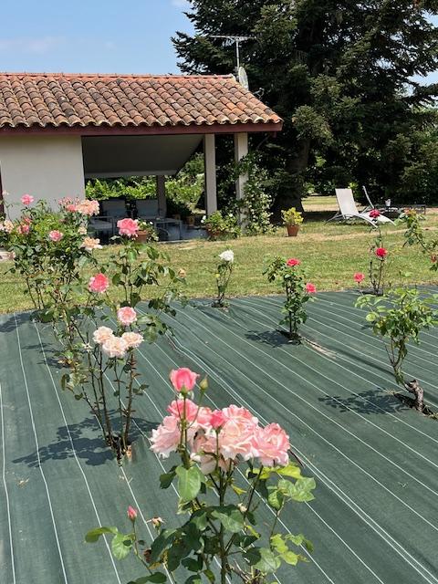 Jardin