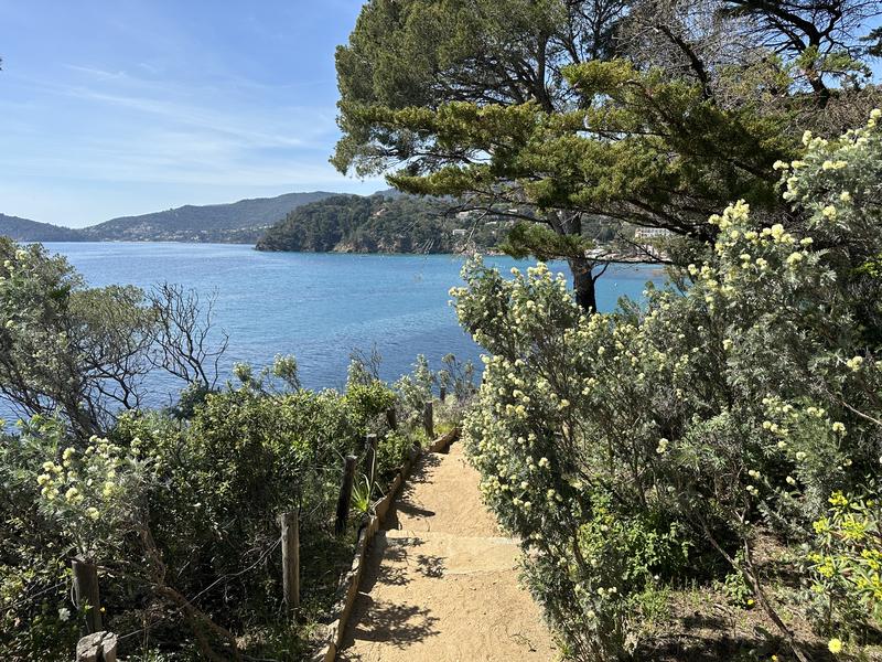 Domaine du Rayol, Le Jardin des Méditerranées_Rayol-Canadel Sur Mer