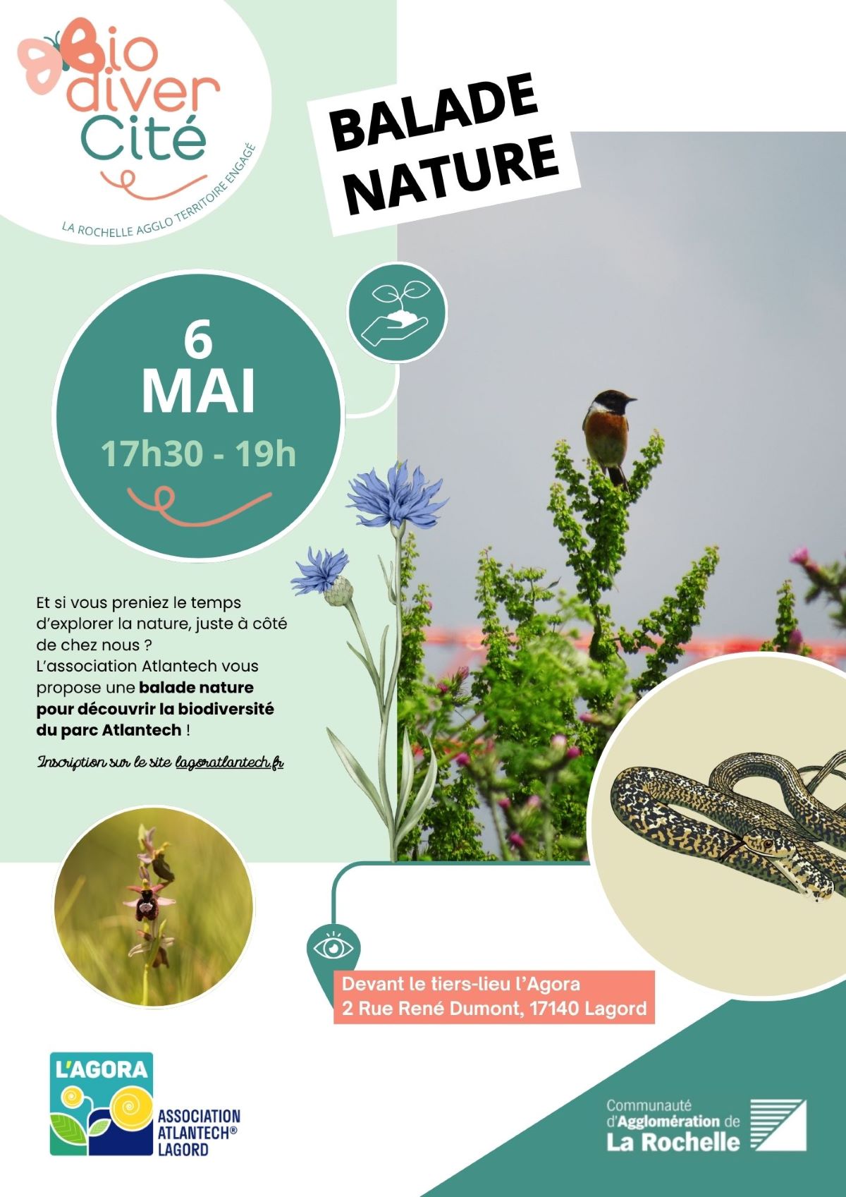 Balade nature au cœur du quartier Atlantech