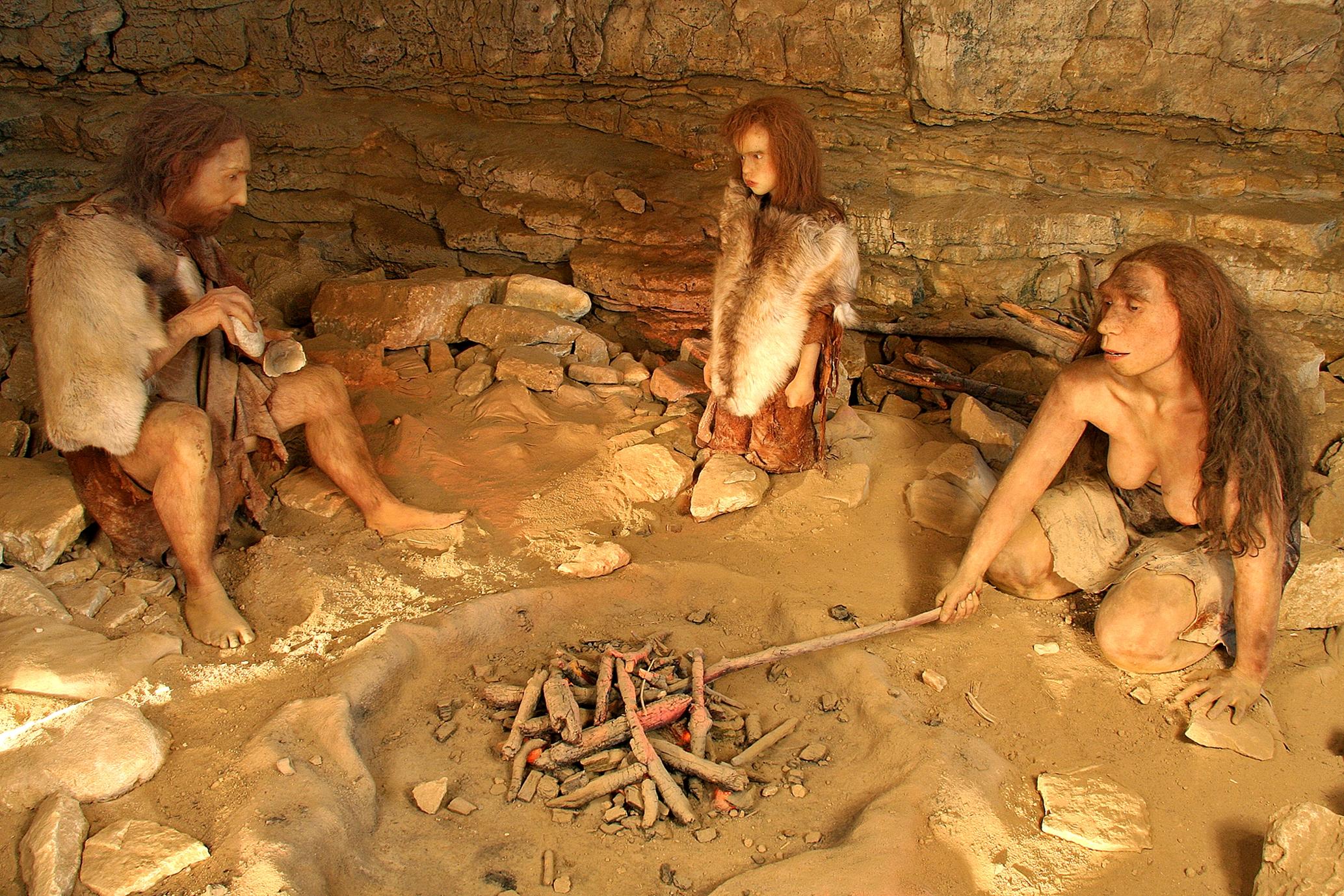 Mannequins Néandertaliens