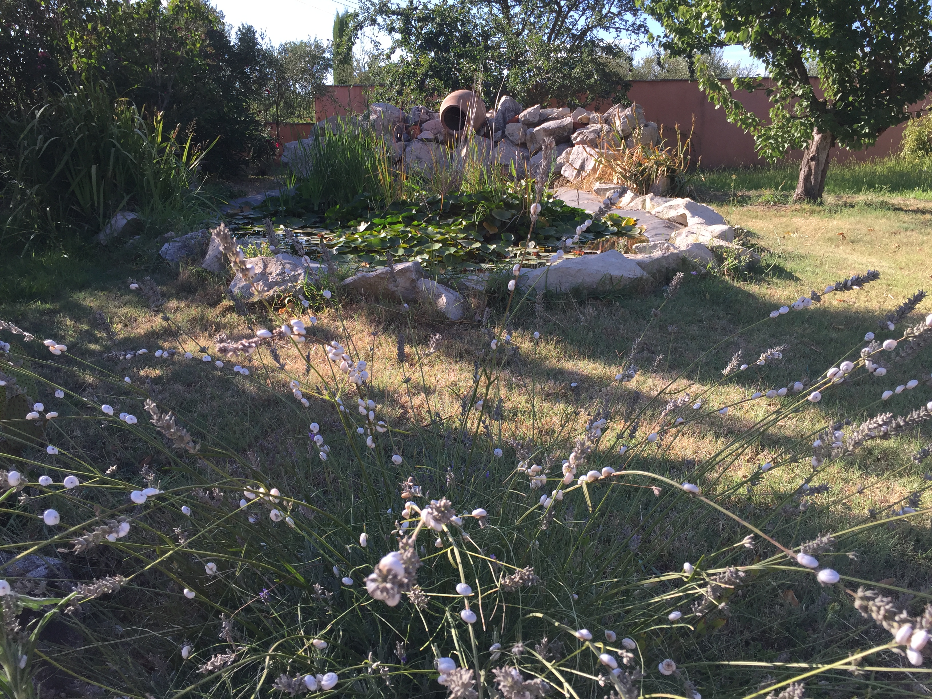 Lou Cigaloun, Châteaurenard - photo 7