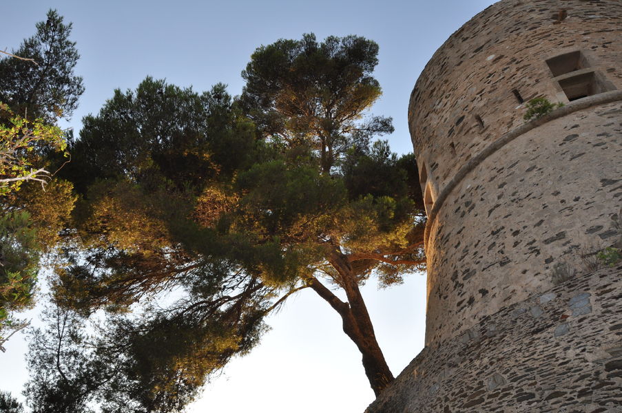 Fort du Moulin - Port-Cros