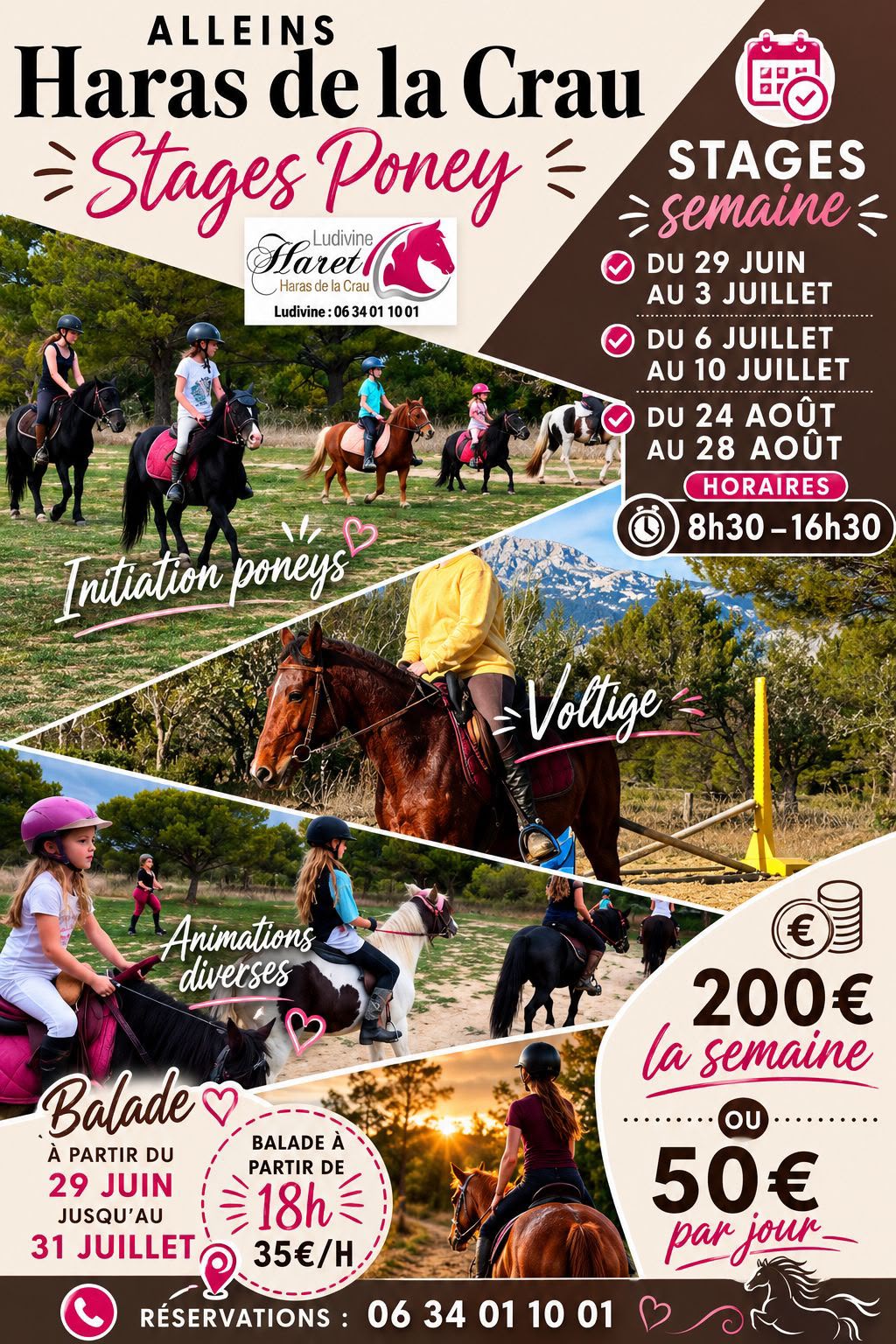 Stages poney au Haras de La Crau