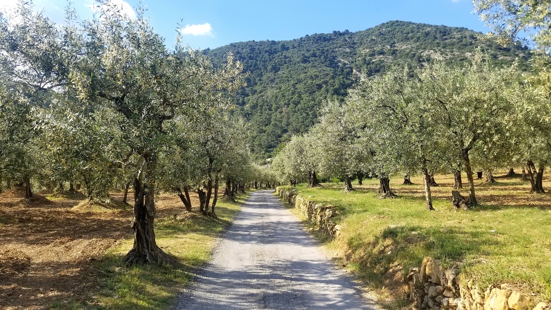 Drôme Provençale