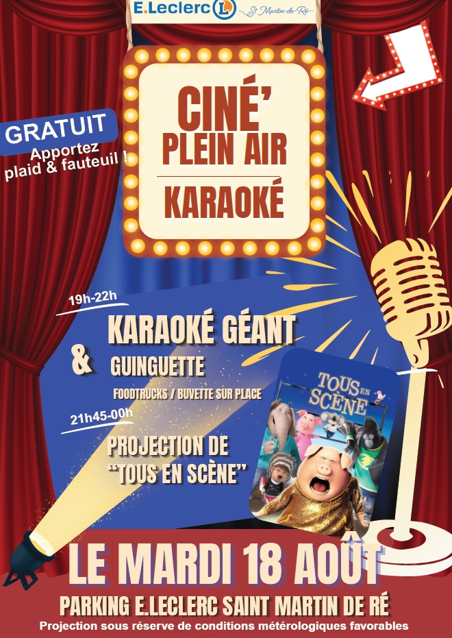 Cinéma en plein air et Karaoké
