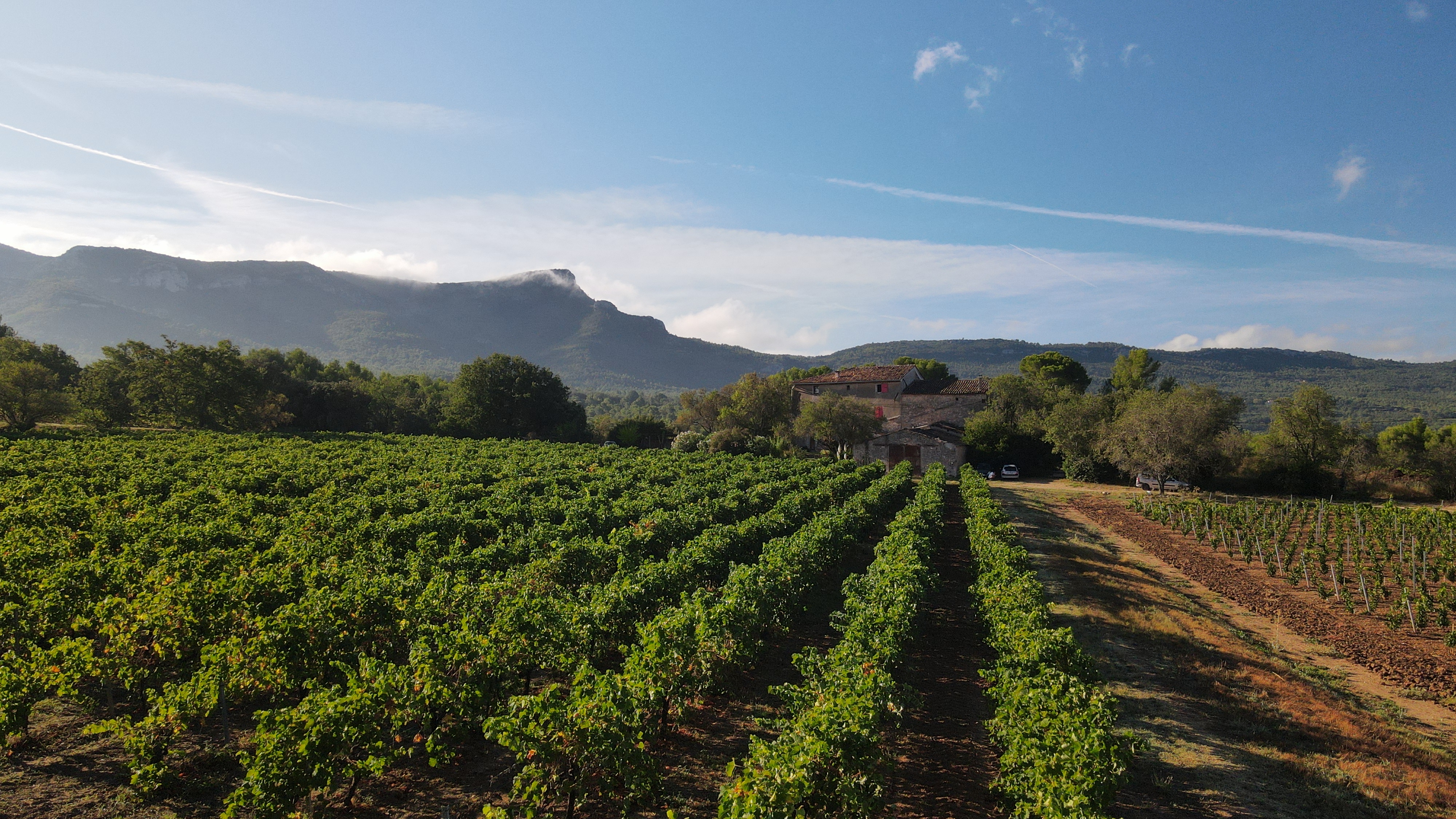 Le Deffend Vieux - photo 3