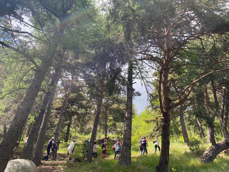 Les sentiers de l'arboretum