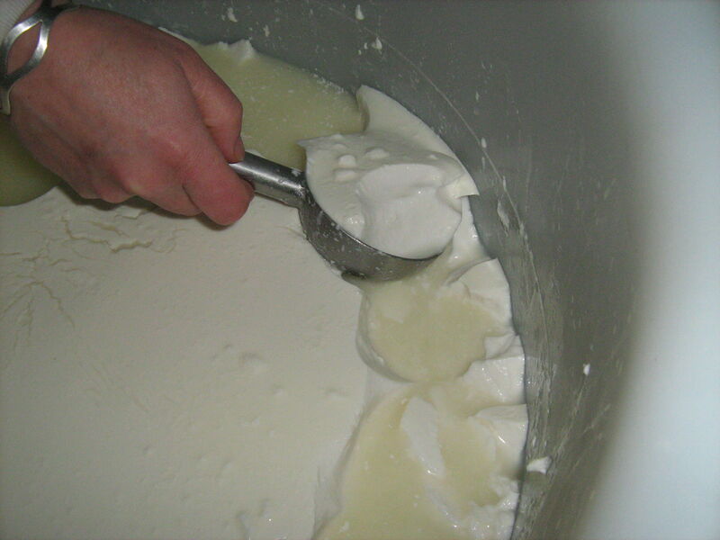 Fromages de chèvres