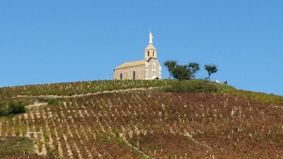 Mobilboard Beaujolais