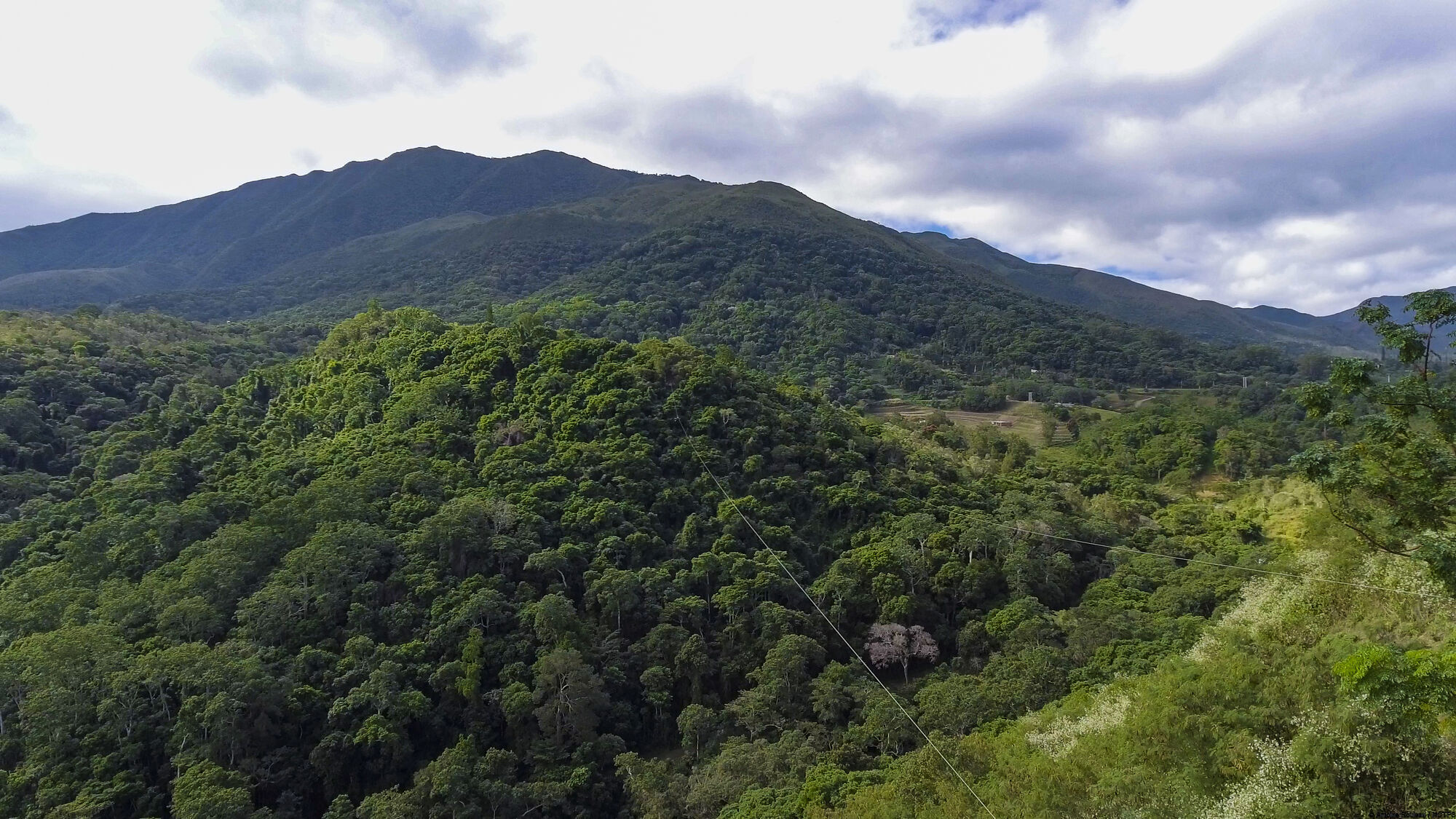 La Belle Verte Canopy Tours (Païta) | New Caledonia Tourism