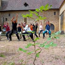 Création artistique - 1150 arbres à l'abbaye_Charlieu