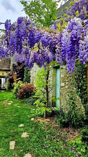 Jardin