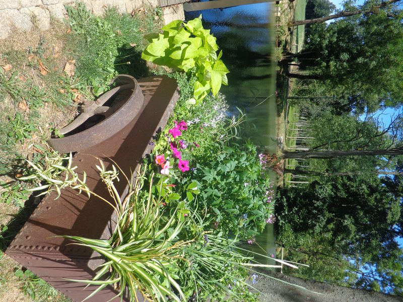 Fleurissement Vonnas