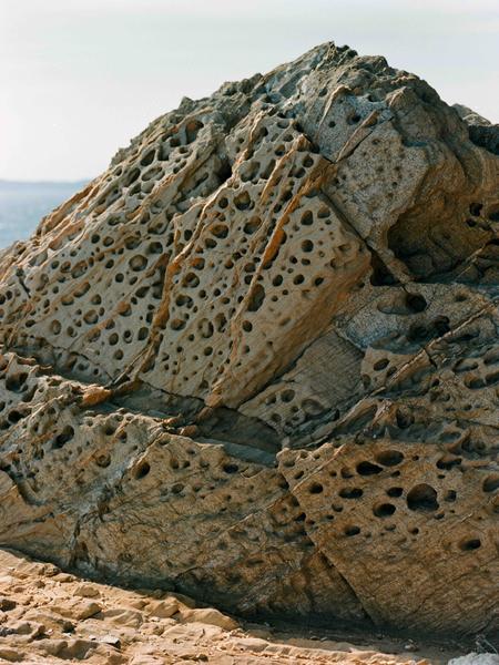 Collectif Monstre - Avec ou sans crème solaire | La Biscuiterie