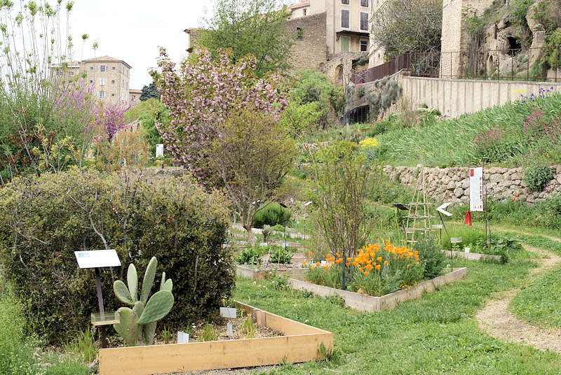 Jardin des plantes tinctoriales