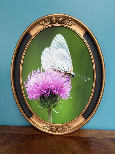 Empreinte de Nature_Bouray-sur-Juine