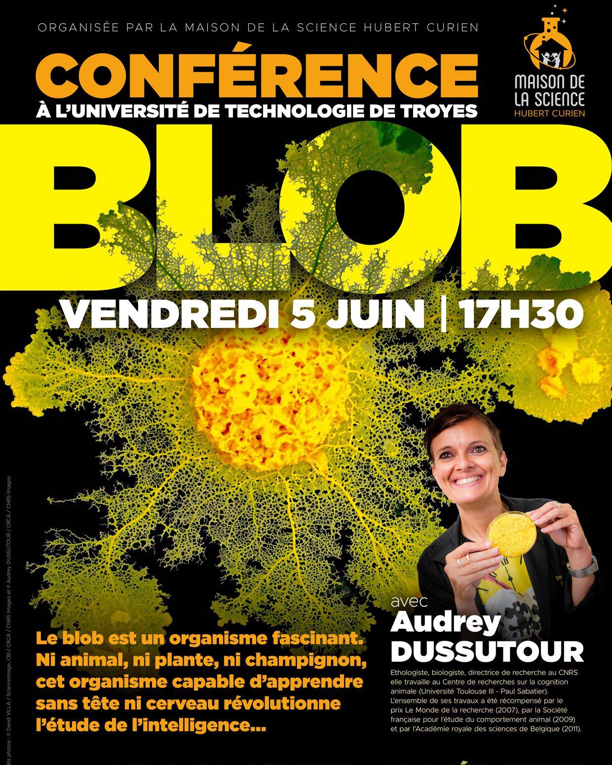 Conférence - Le Blob — visuel événement
