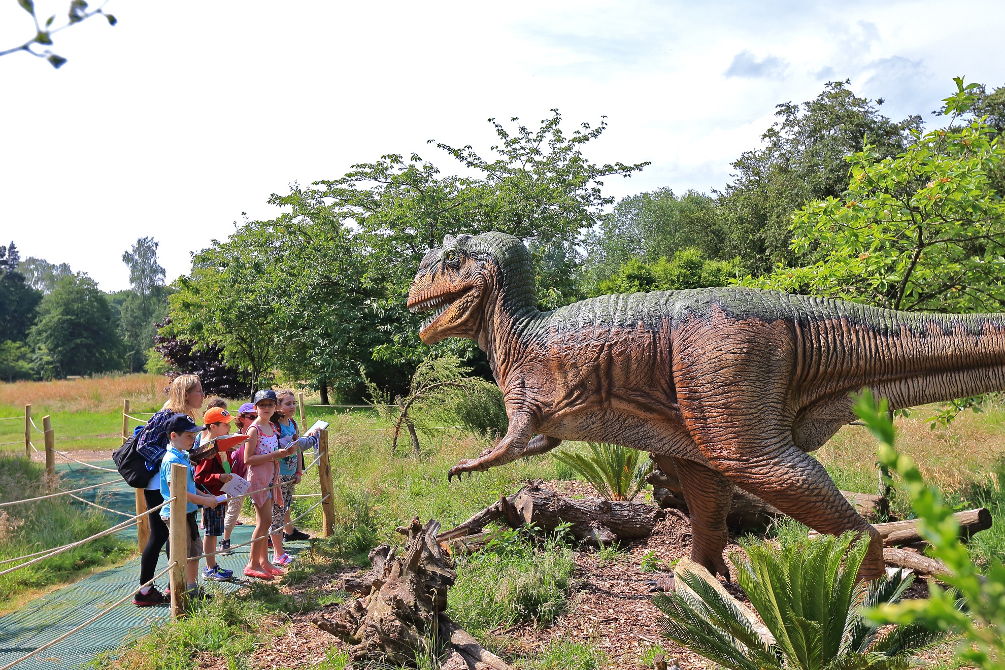 Sur les traces des géants disparus_Peaugres