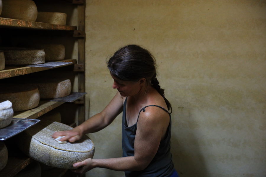 Frottage des fromages
