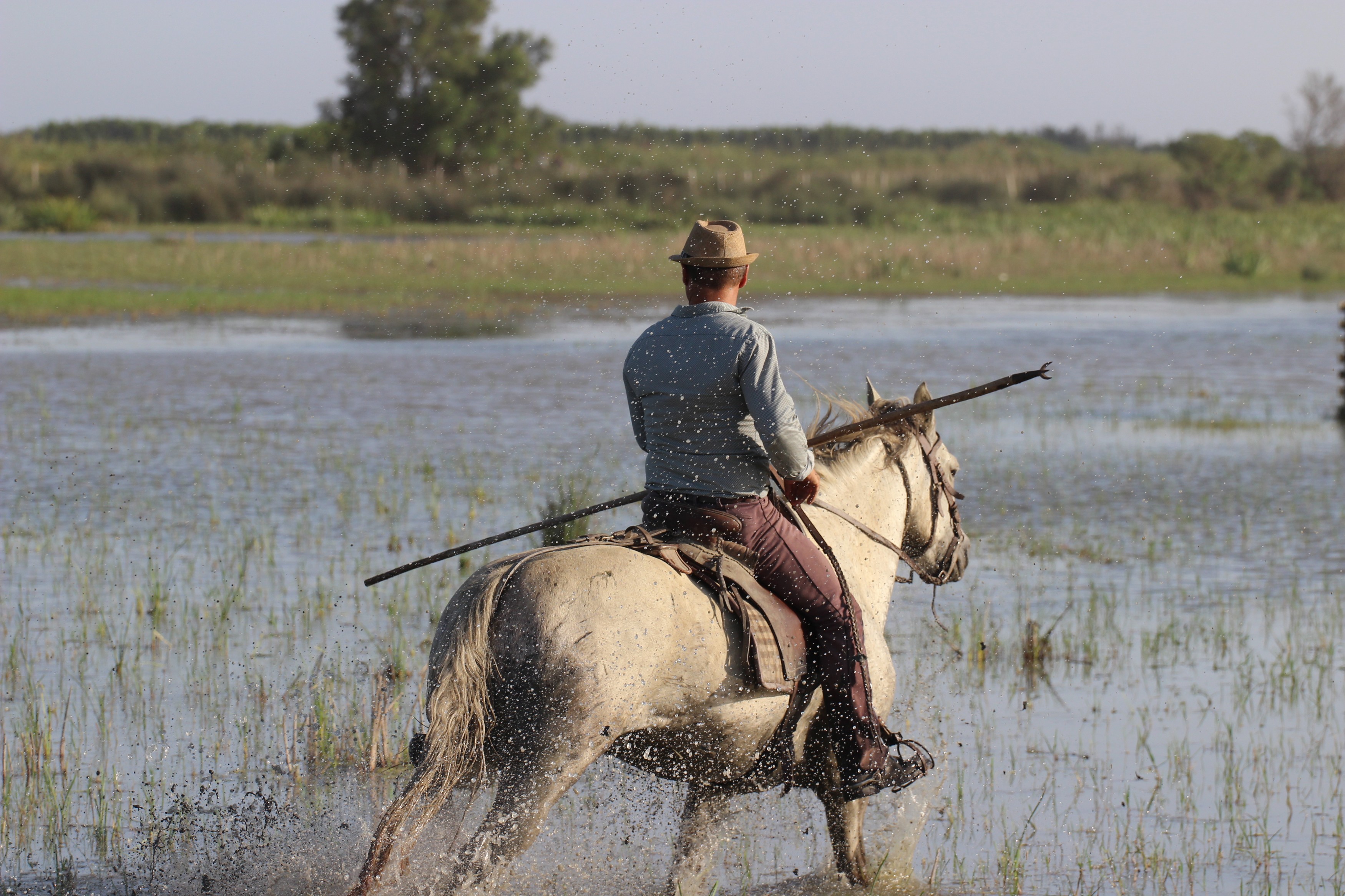 Manade La Grand Ponche
