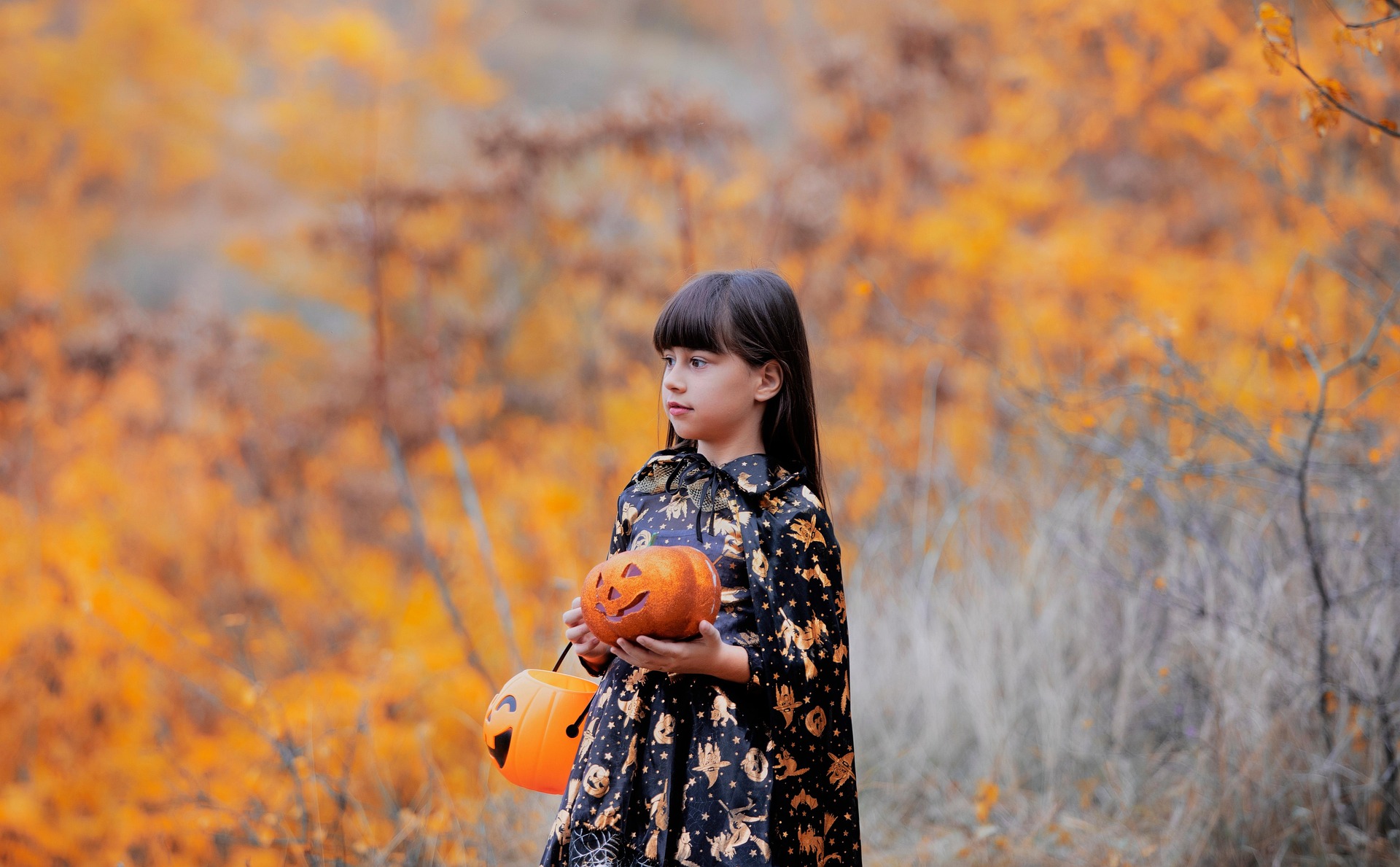 Halloween à Blanzac