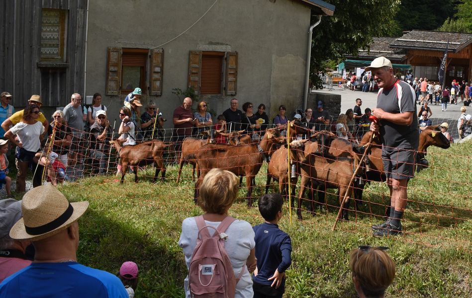 Fête des alpagistes