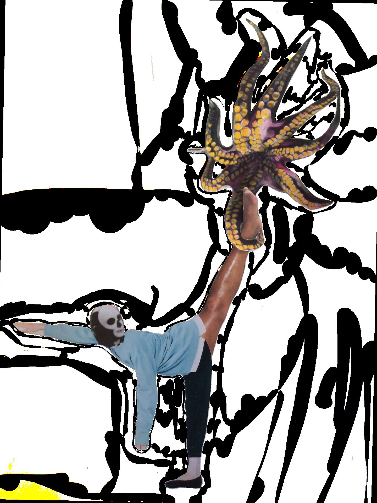 Môle, le rein de mon cheval Flash