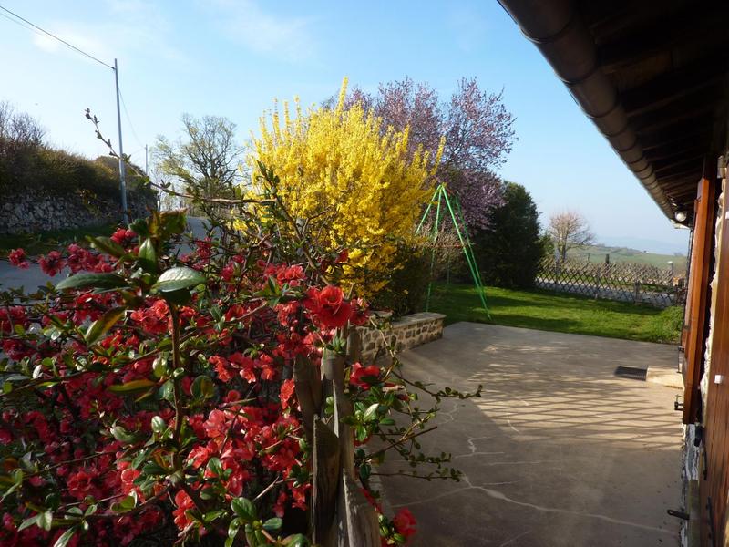 Gîte de Montmenot à Ancy (Rhône - Monts du Beaujolais): les premières fleurs du printemps.