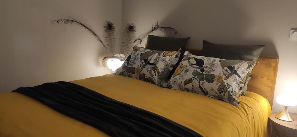 Le Lemon Tree - Gîte 4* à Panossas - Balcons du Dauphiné