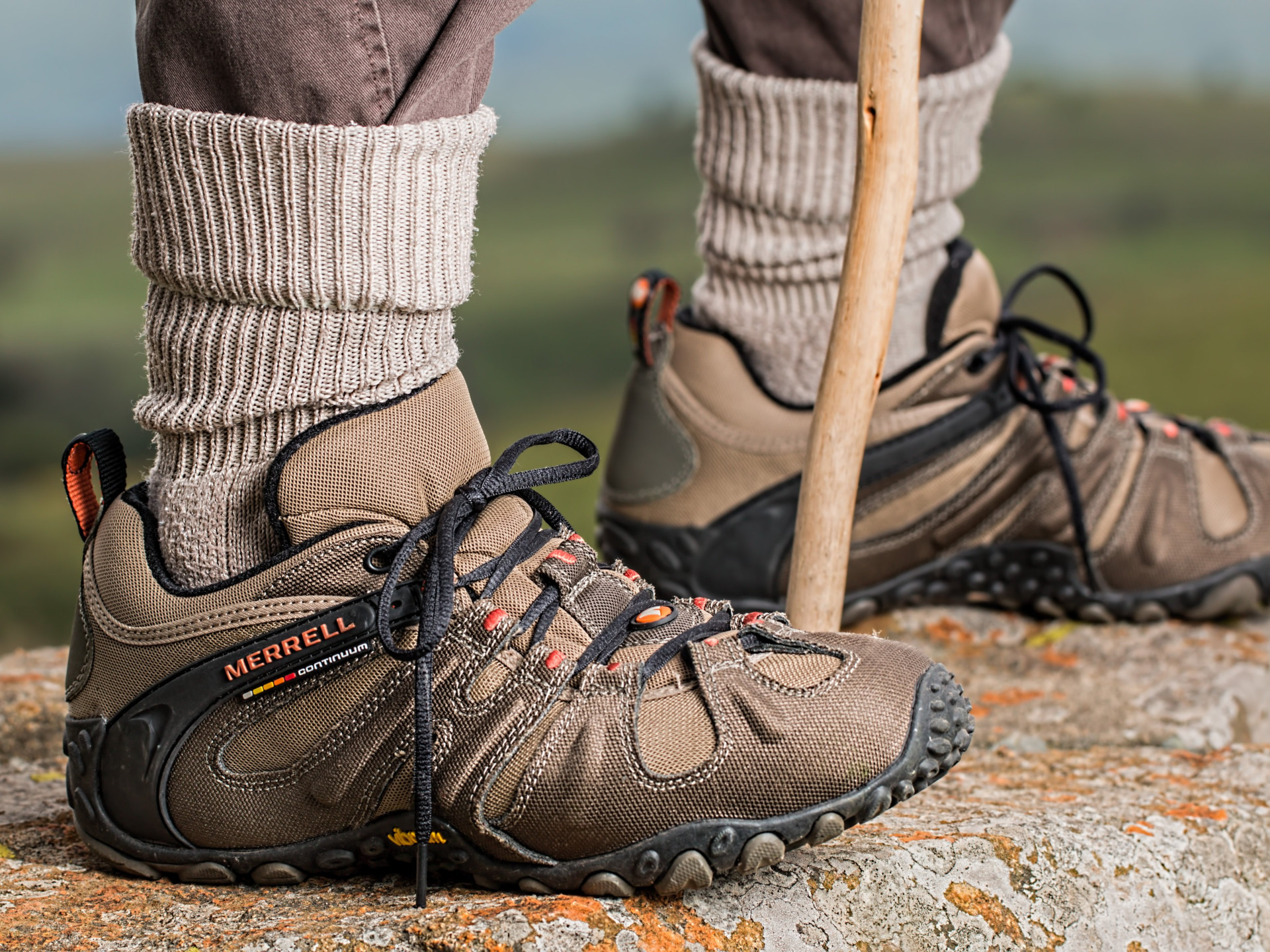 Marche St Georges Du Bois