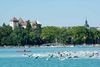 Triathlon International du Lac d'Annecy