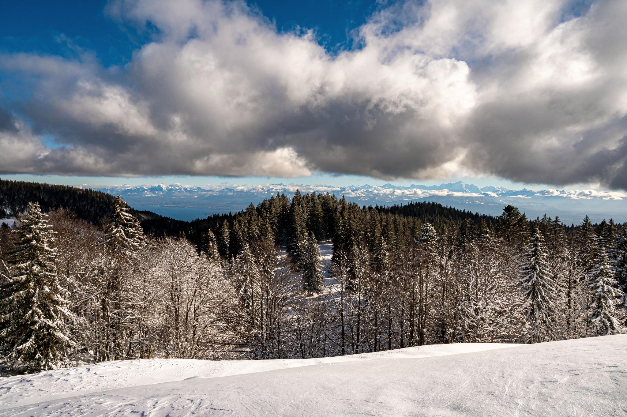 La vue panoramique